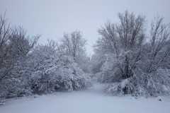 IMG-20200223-WA0003